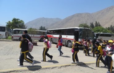 servicio de alquiler de buses para colegios